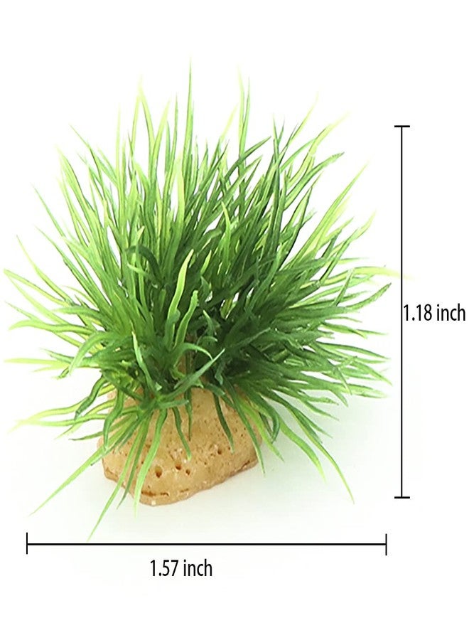 AQUA KT Aquarium Landscape Foreground Grass Seaweed Green Plants for Marine Freshwater Fish Tank Decoration, Pack of 10 - Image 2